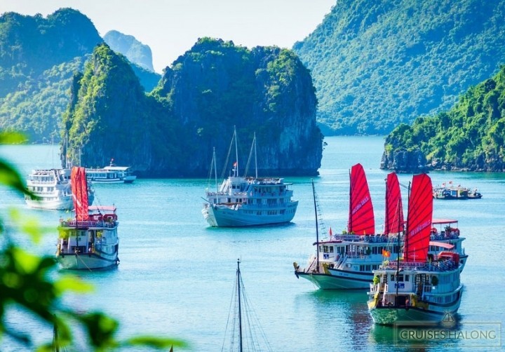 Hạ Long 2 Ngày 1 Đêm