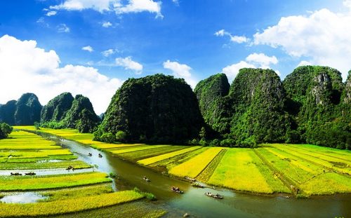 Hoa Lư - Tam Cốc - Hang Múa 1 Ngày