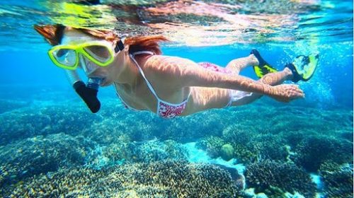 Tour Câu Cá - Lặn Ngắm San Hô Nam Đảo