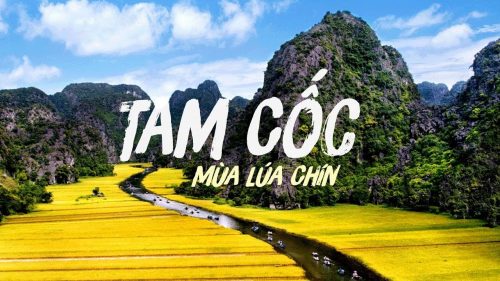 Hoa Lư - Tam Cốc 1 Ngày